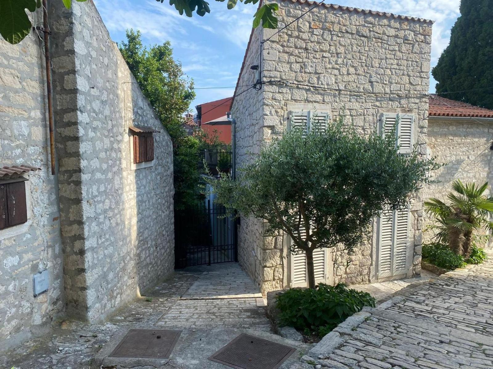Seaview House Rosali Villa Rovinj Exterior photo